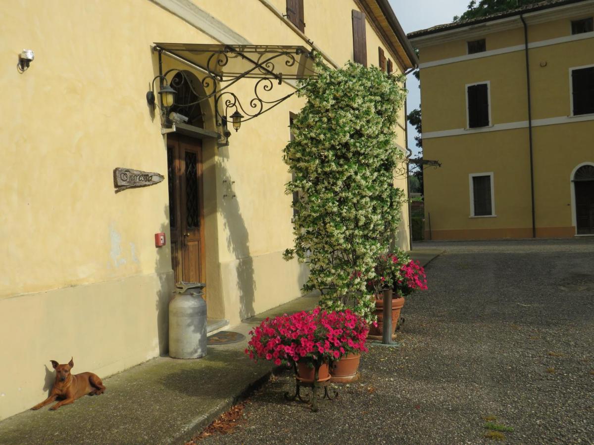 Agriturismo Rivieraoglio Piadena Zewnętrze zdjęcie